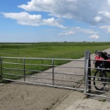 1406F 131 Sylt-Itzehoe